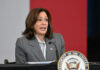 Kamala Harris Photo Sparks Patriotism Debate