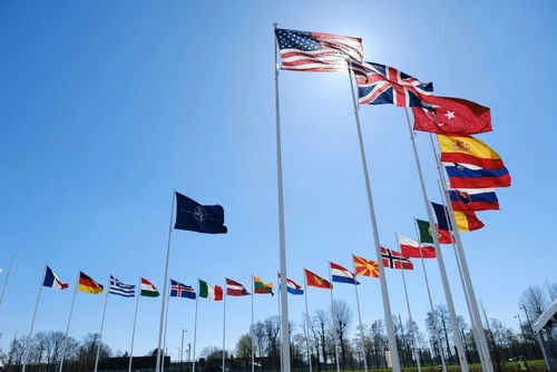 Flags of multiple countries against blue sky