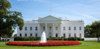 White House with fountain and red flowers