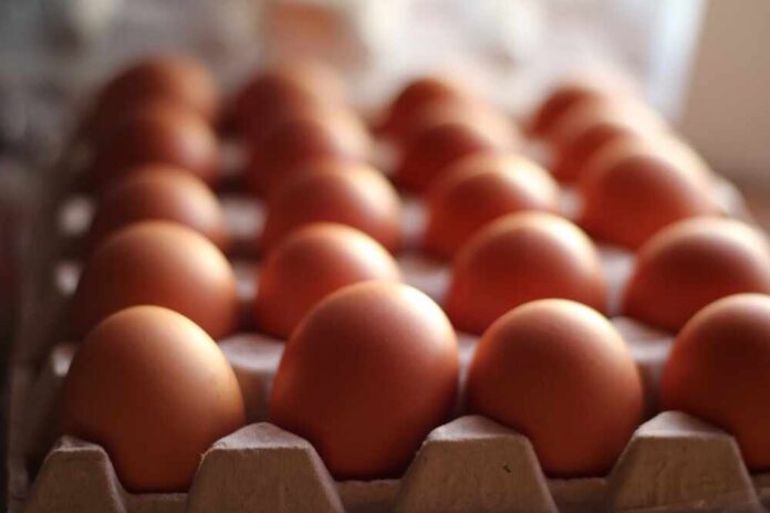 Close-up of brown eggs arranged in a carton
