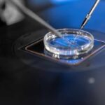 Close-up of a petri dish being manipulated with precision tools in a laboratory setting