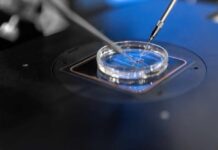 Close-up of a petri dish being manipulated with precision tools in a laboratory setting