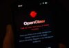 Close-up of a smartphone screen displaying the OpenClaw app interface