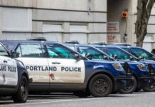 Row of Portland police cars parked on street.