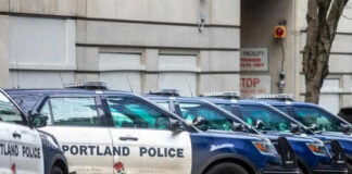 Row of Portland police cars parked on street.