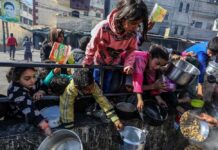 Children reaching for food during a distribution event