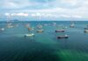 Aerial view of numerous cargo ships anchored in a blue ocean