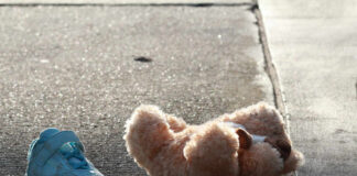 Teddy bear and blue child’s shoe on a sunlit sidewalk