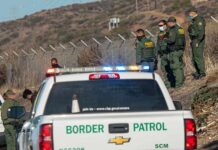 Trump Crackdown Triggers Weekly Sweeps Border Patrol agents gather near fence with patrol trucks