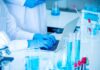 New Research Reveals Surprising Bumblebee Behavior A scientist typing on a laptop in a laboratory filled with glassware
