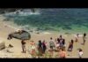 San Diego sea lion assault under investigation