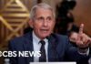 Examining the legal process behind Fauci diaries release