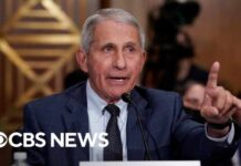 Examining the legal process behind Fauci diaries release