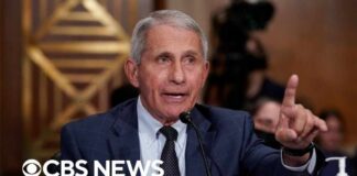 Examining the legal process behind Fauci diaries release