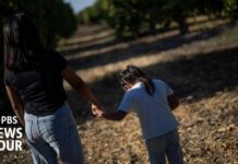 Unaccompanied migrant children at risk of losing legal representation