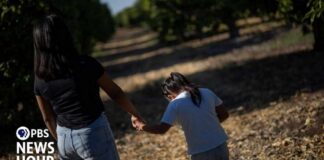 Unaccompanied migrant children at risk of losing legal representation