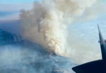 Timber Fire: Firefighters return to Big Sur wildfire after lightning retreat