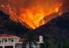 Wildfire engulfs hillside behind a suburban house