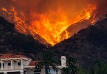 Wildfire engulfs hillside behind a suburban house