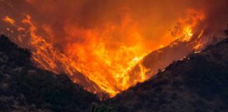 Wildfire engulfs hillside behind a suburban house