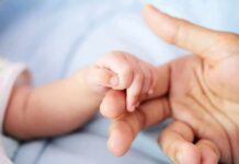 baby hand holding adult finger