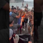 In Ceuta, the death of a baby dolphin filmed on a beach sparks outrage.
