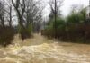 Flooded residential street with fast-moving muddy water