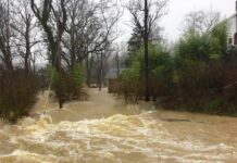 Flooded residential street with fast-moving muddy water