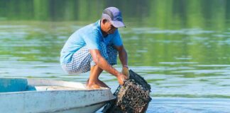 Fisherman retrieving a crab trap from the water beside a small boat