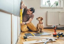 Man measuring cabinet with a level as a small dog watches