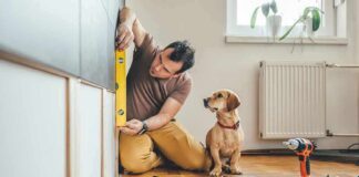 Man measuring cabinet with a level as a small dog watches